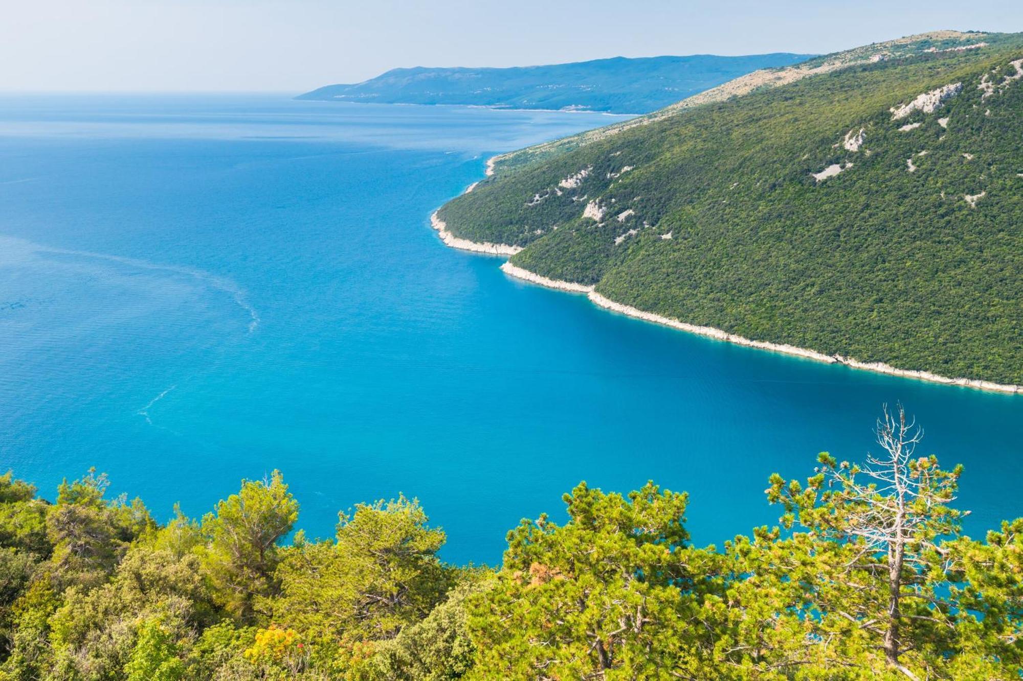 Seafront Villa Andrijana - Happy Rentals Plomin Eksteriør bilde